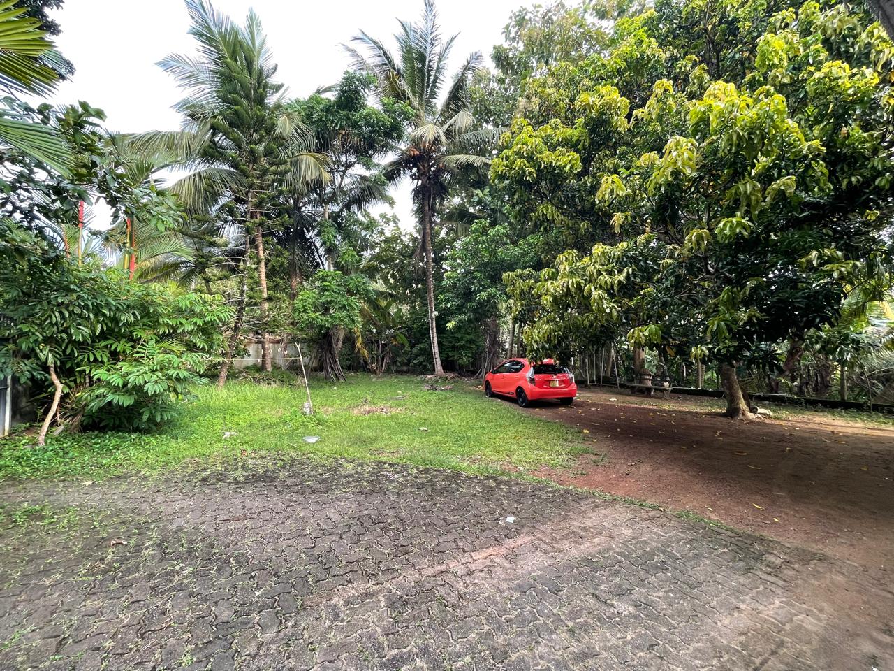 පානදුරේ පර්චස් 28 ක ඉඩම සහ අංග සම්පූර්ණ නිවස ඉක්මනින් විකිණීමට ඇත.